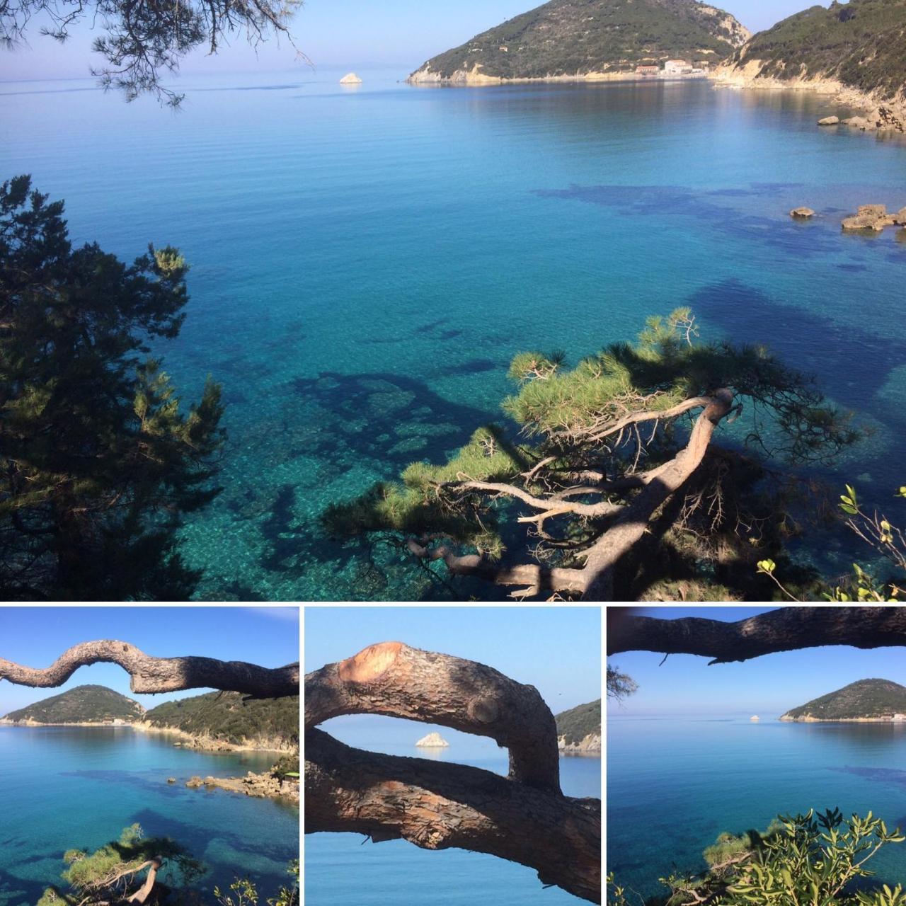 Hotel Viticcio Portoferraio Zewnętrze zdjęcie