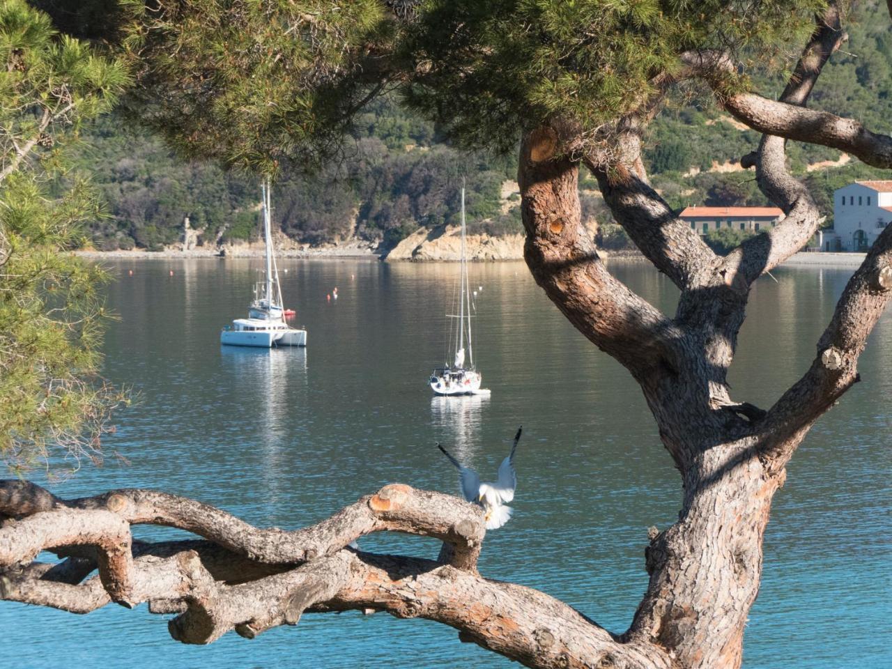 Hotel Viticcio Portoferraio Zewnętrze zdjęcie